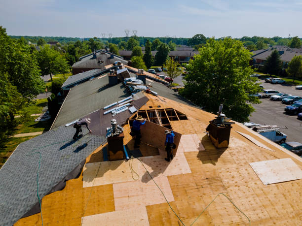 Trusted Roof Replacement service in Drain, OR - Brentwood Metal Roofing